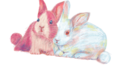 名称未設定のアートワーク