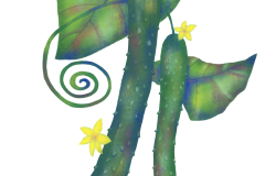 名称未設定のアートワーク